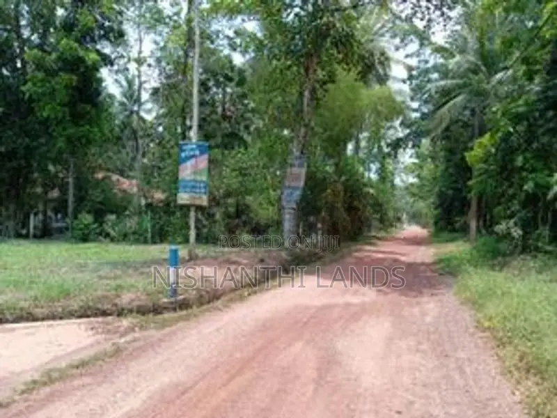 Valuable Land for Sale in Minuwangoda