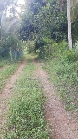 Land for Sale in Balangoda