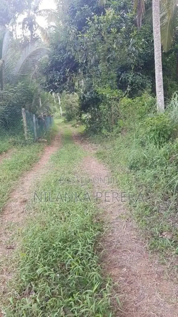 Land for Sale in Balangoda