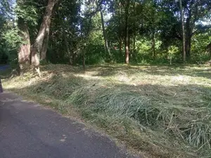 Land for Sale in Kurunegala Yanthampalawa
