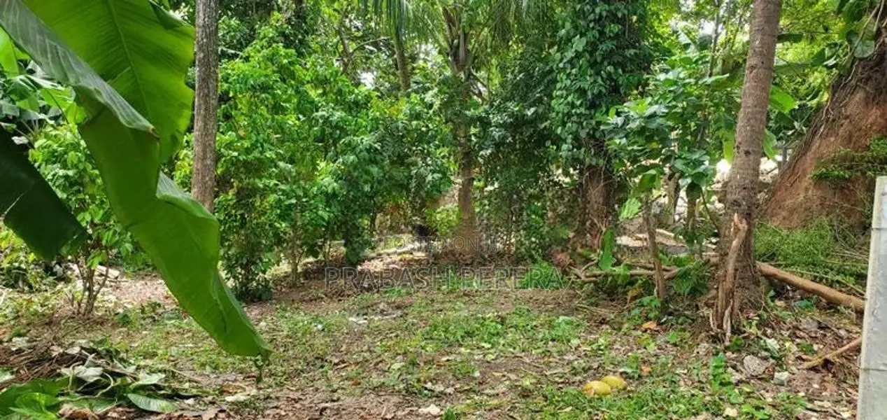 Excellent Land for Sale in Maharagama