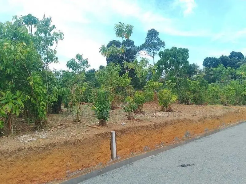 Residential Land Plots in Aluthwala