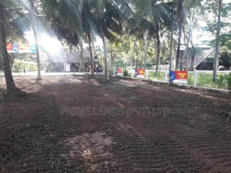 අඹගස්වැව සියලු පහසුකම් සහිතව පදිංචියට ඉඩමක්