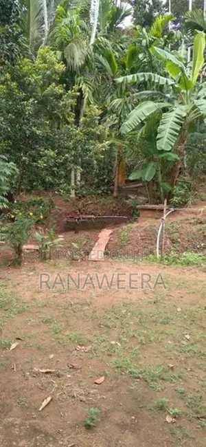 Land for Sale Hakmana