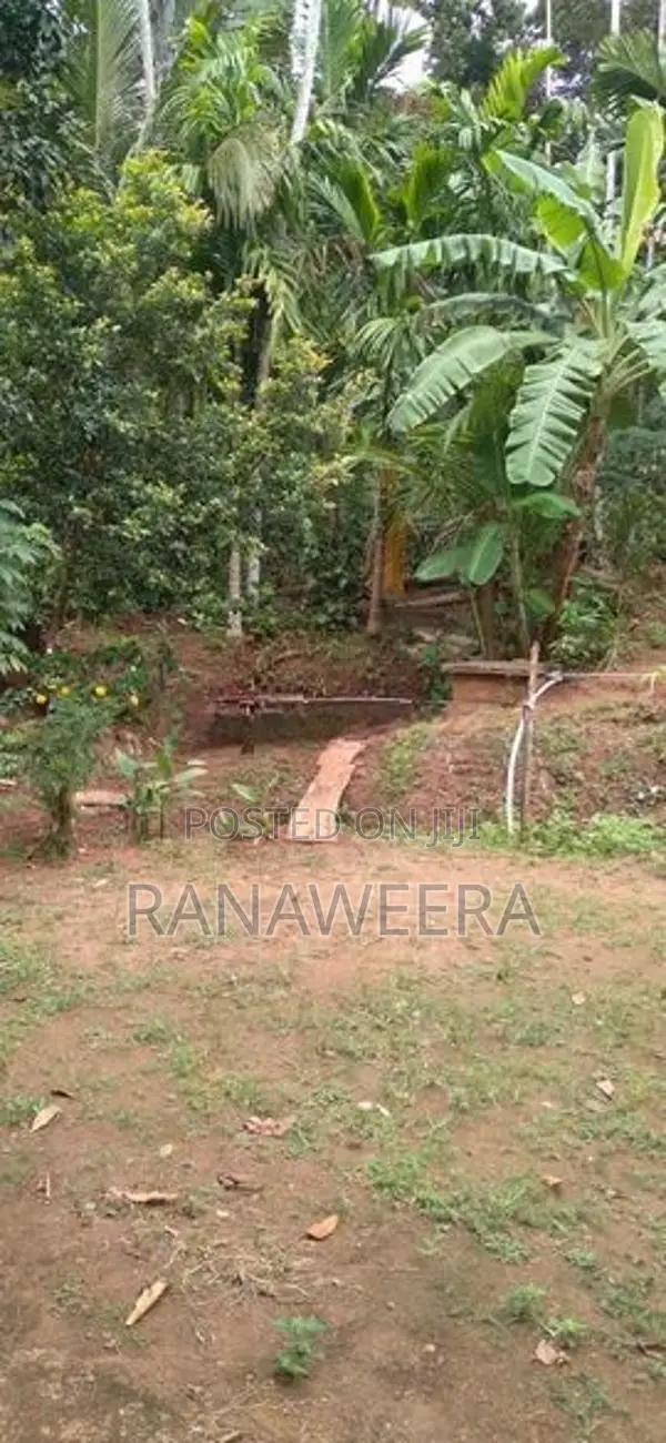 Land for Sale Hakmana