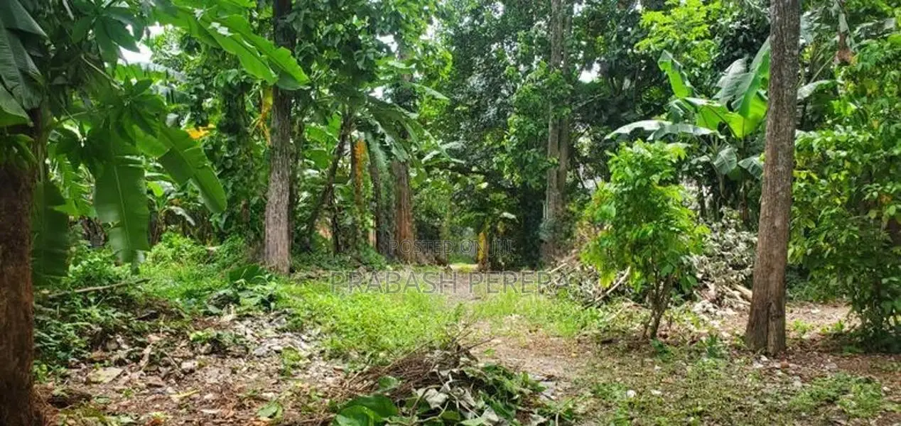 Excellent Land for Sale in Maharagama