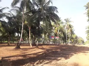 අඹගස්වැව සියලු පහසුකම් සහිතව පදිංචියට ඉඩමක්
