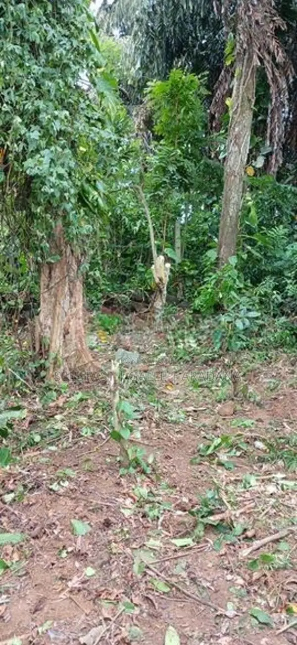 Land For Sale - Near the Highway entrance