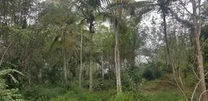 Land for Sale in Balangoda