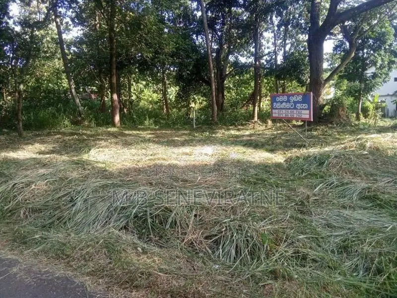 Land for Sale in Kurunegala Yanthampalawa