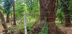 Excellent Land for Sale in Maharagama