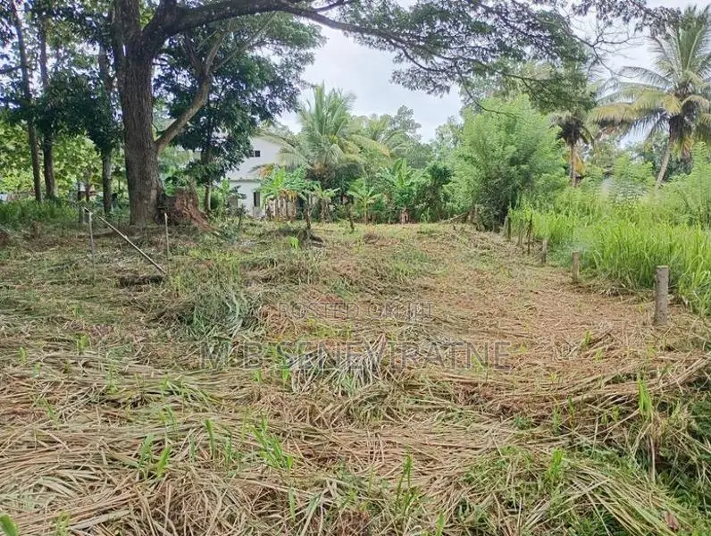 Land for Sale in Kurunegala Yanthampalawa