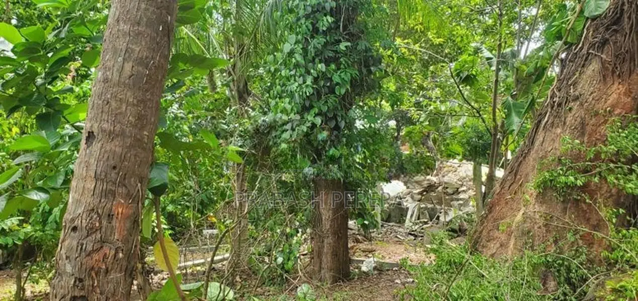 Excellent Land for Sale in Maharagama