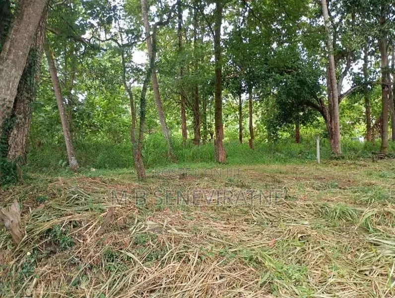 Land for Sale in Kurunegala Yanthampalawa