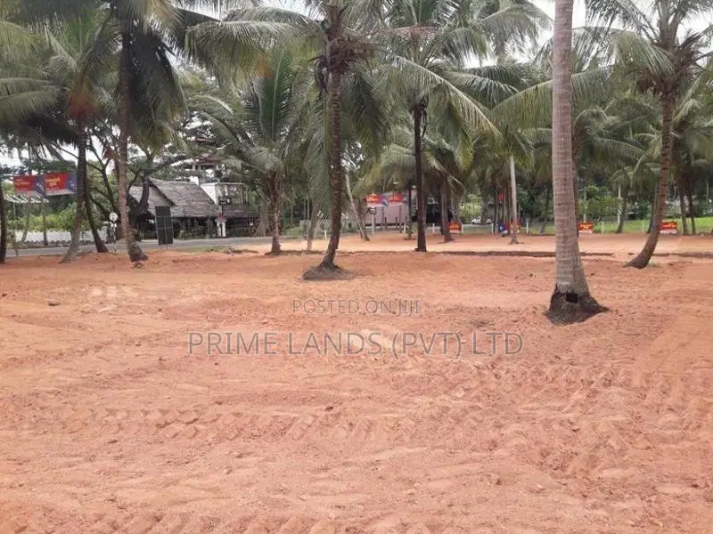 අඹගස්වැව සියලු පහසුකම් සහිතව පදිංචියට ඉඩමක්