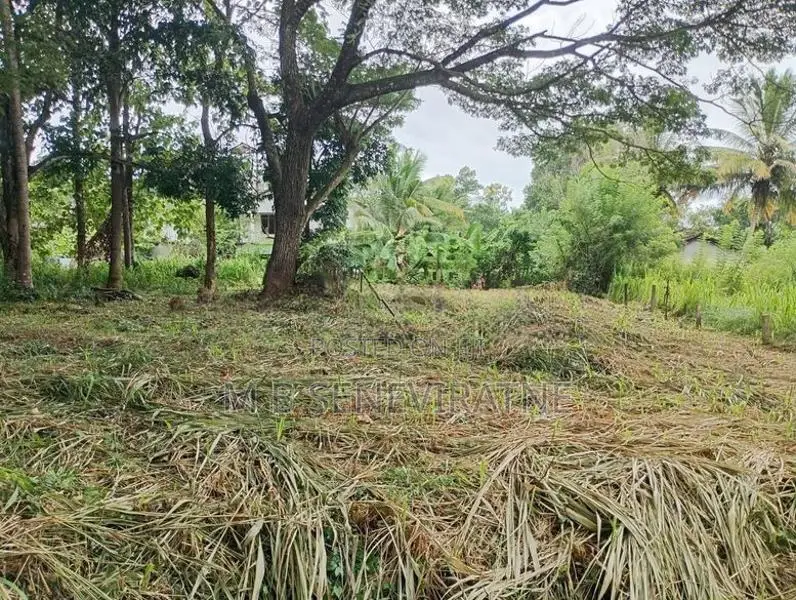 Land for Sale in Kurunegala Yanthampalawa