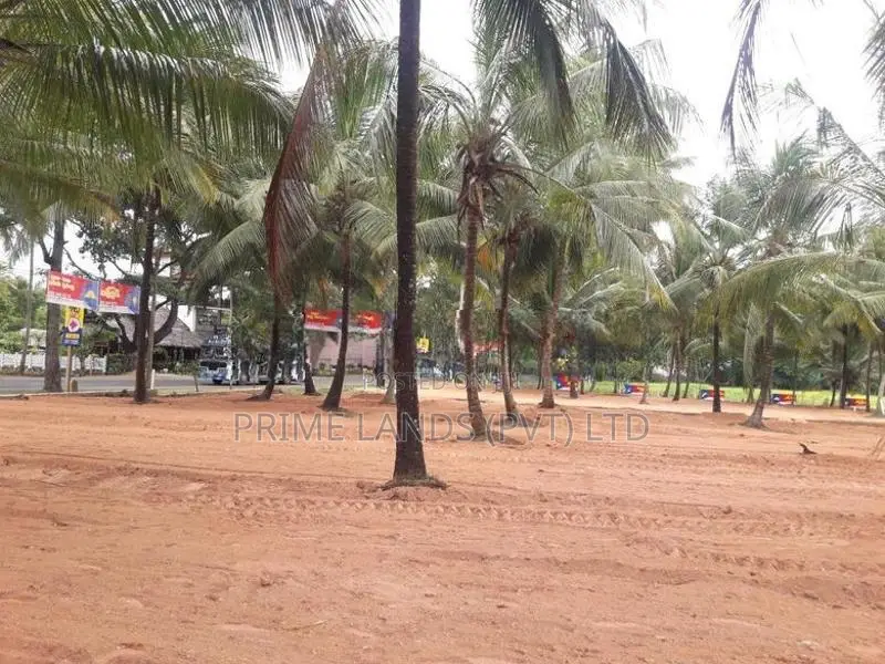 අඹගස්වැව සියලු පහසුකම් සහිතව පදිංචියට ඉඩමක්