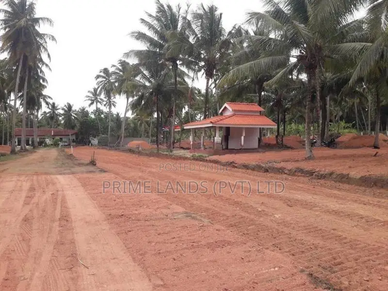 අඹගස්වැව සියලු පහසුකම් සහිතව පදිංචියට ඉඩමක්