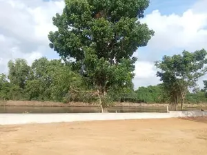 Lands for Sale in Nawala Koswaththa Road