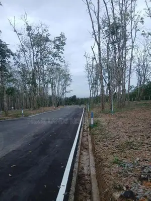 Valuable Land for Sale in Homagama Thalagala