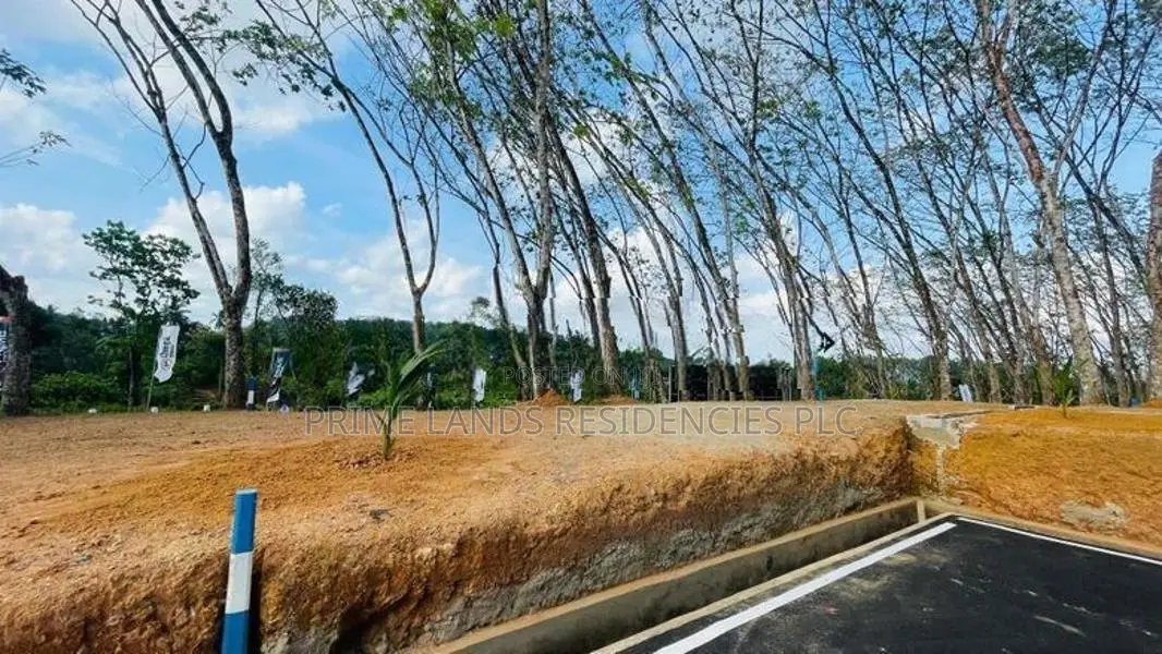 Valuable Land for Sale in Homagama Thalagala