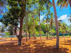 Beach Facing Land Plot Midigama