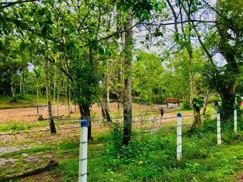 Koggala සoචාරක පුරවරයෙන් විකිණීමට අගනා බිම් කොටස්