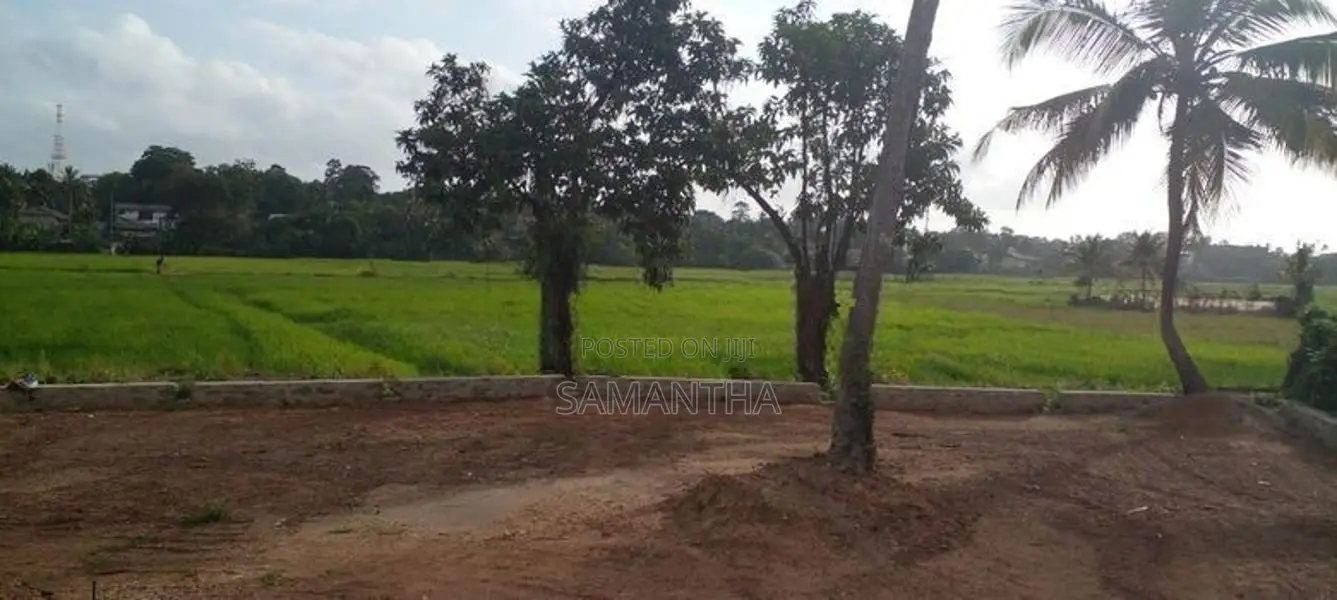 Paddy Field Facing 25 Perch Land for Sale Battaramulla