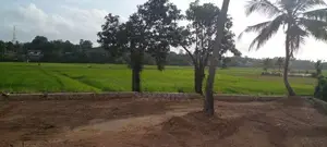 Paddy Field Facing 25 Perch Land for Sale Battaramulla