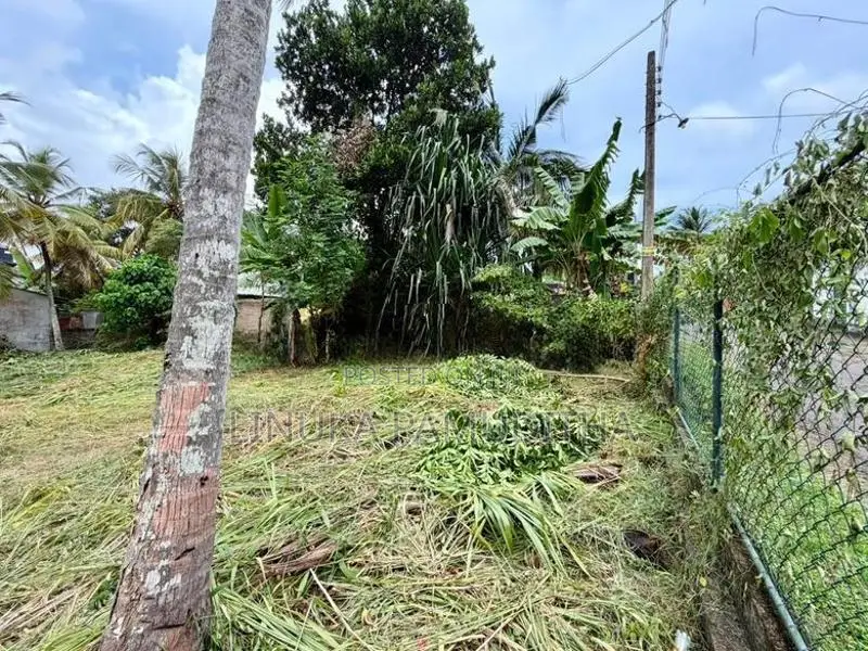 Land for Sale in Piliyandala Gonamaditta