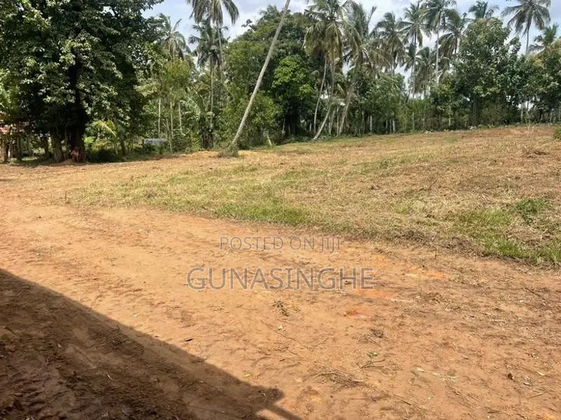 Land for Sale Facing Kurunegala Katupotha Road