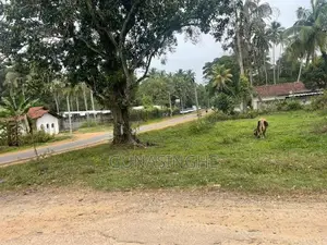 Land for Sale Facing Kurunegala Katupotha Road