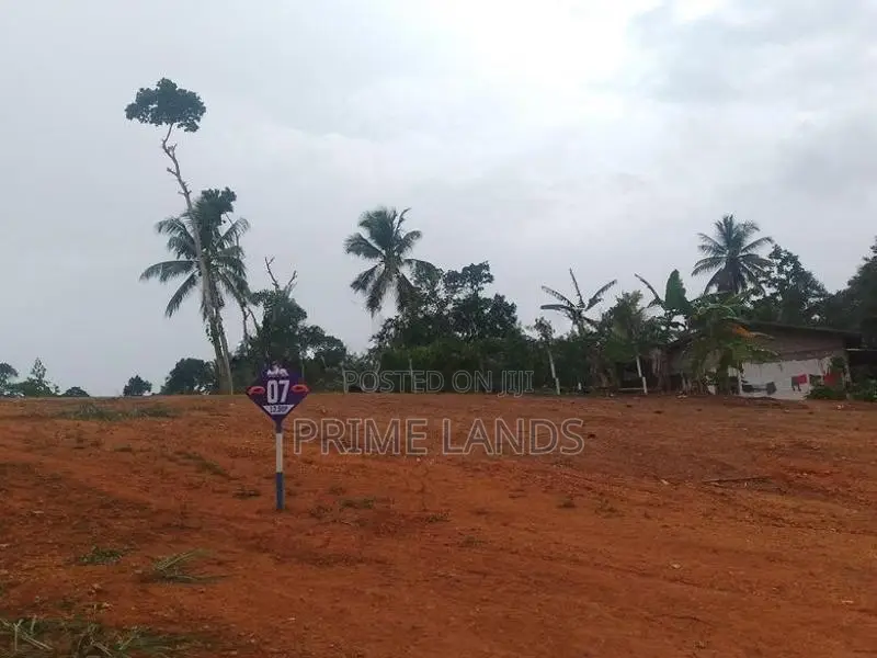 අලුත්වලින් බිම් කොටස්
