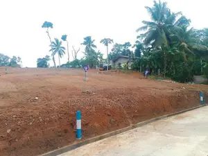 අලුත්වලින් බිම් කොටස්