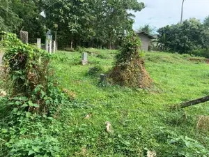 24.9 Perch Land for Sale in Demanhandiya, Katana