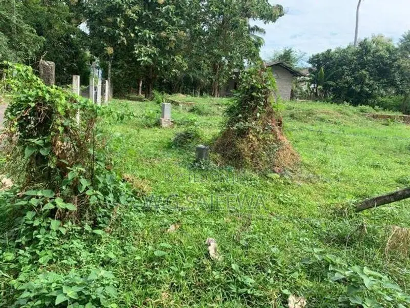 24.9 Perch Land for Sale in Demanhandiya, Katana