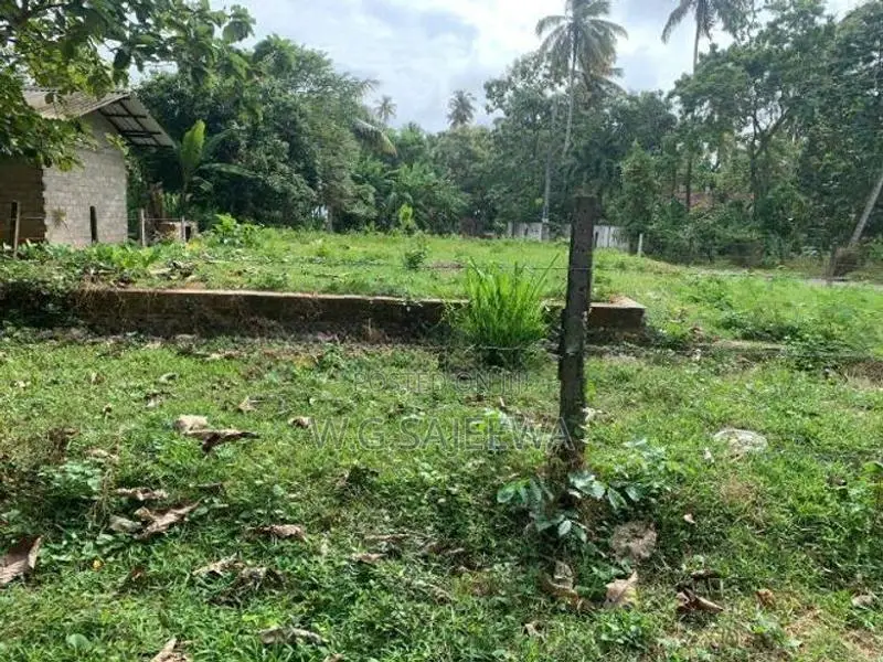 24.9 Perch Land for Sale in Demanhandiya, Katana