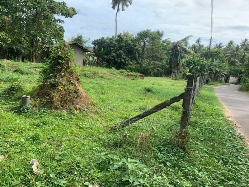24.9 Perch Land for Sale in Demanhandiya, Katana