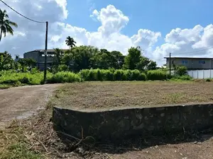 Valuable Land for Sale in Pepiliyana S8