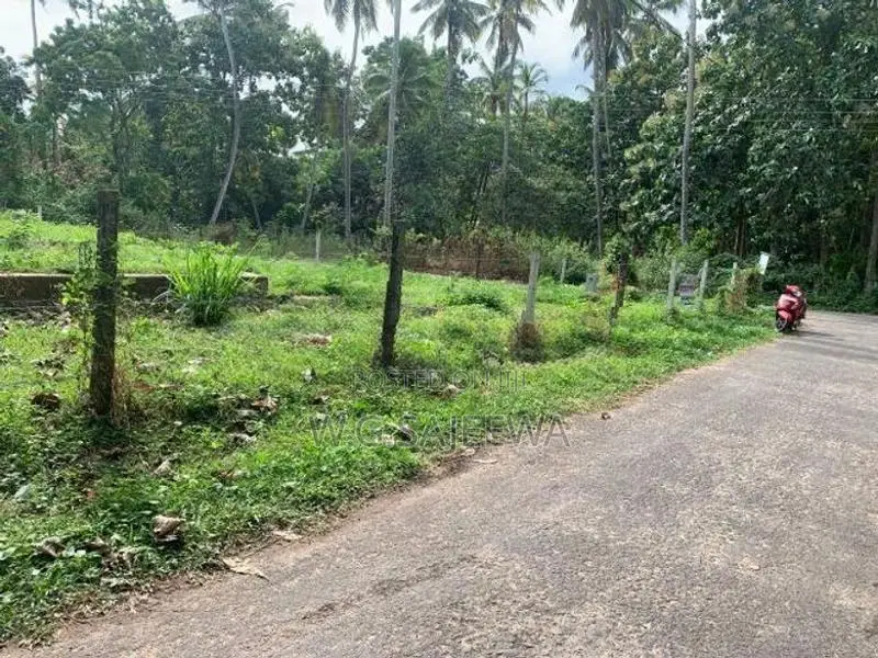 24.9 Perch Land for Sale in Demanhandiya, Katana