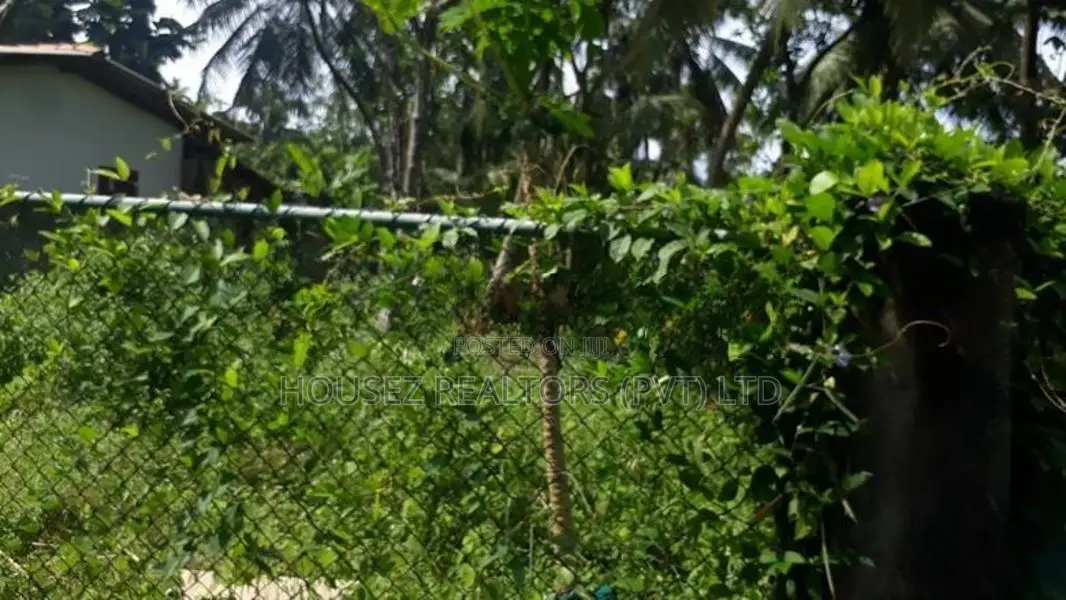 2.5-Acre Riverfront Land for Sale in Wakwella, Galle