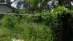2.5-Acre Riverfront Land for Sale in Wakwella, Galle