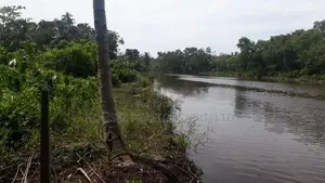 2.5-Acre Riverfront Land for Sale in Wakwella, Galle