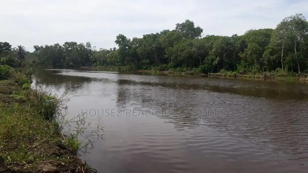 2.5-Acre Riverfront Land for Sale in Wakwella, Galle