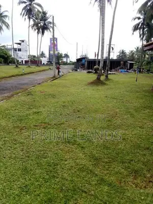 හොරන නගරයෙන්ම වටිනා ඉඩමක්