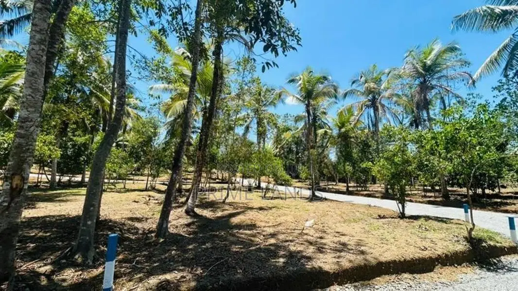 සියලු පහසුකම් සමගින් වටිනා ඉඩම් ව්‍යාපෘතියක් කහතුඩුවෙන්