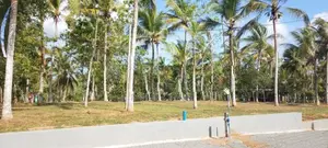 පොල්,කුරුදු ගස් වලින් සමන්විත වටිනා ඉඩමක් කහතුඩුවෙන්