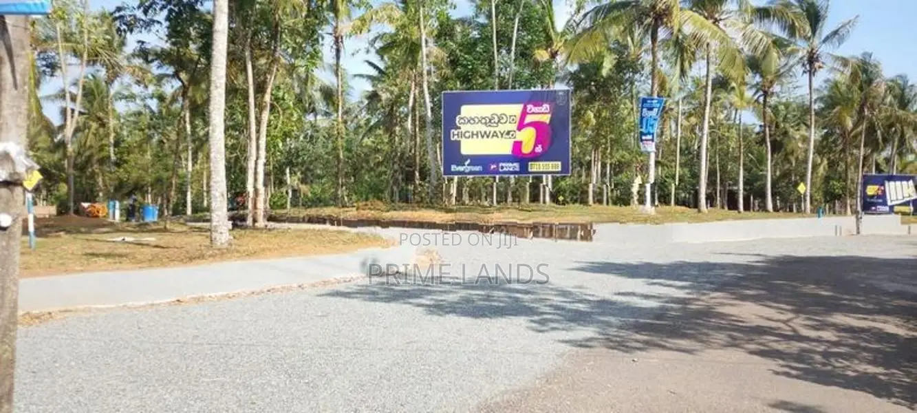 පොල්,කුරුදු ගස් වලින් සමන්විත වටිනා ඉඩමක් කහතුඩුවෙන්