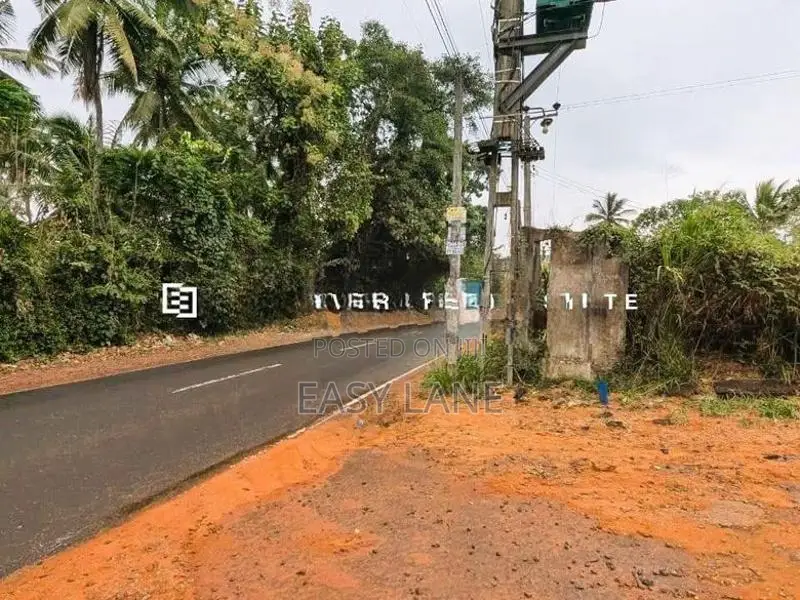 අත්තනගල්ල වෙන්දේසි වත්තෙන් කාපට් පාරෙන් දෙවන ඉඩම / CA 12614