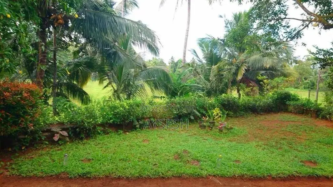 House for Sale - Remuna